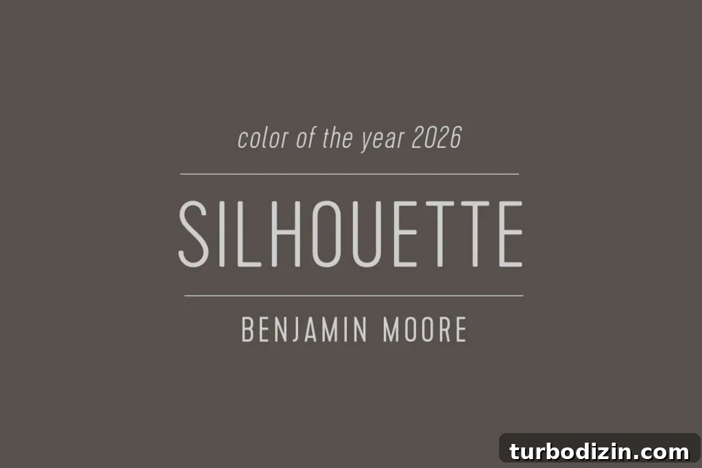 Every 2026 Color of the Year: A Complete Guide to 2026 Hues 7 Benjamin Moore Silhouette Color of the Year 2026 Swatch