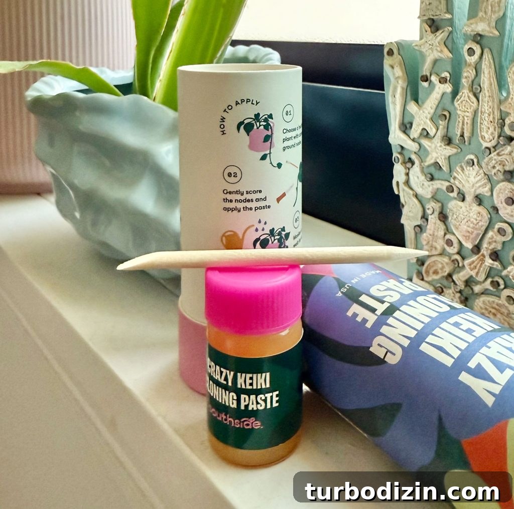 Keiki Paste: What It Is and How to Use It on Your Plants 8 Contents of Keiki Paste Container With Paste Toothpick and Insturctions
