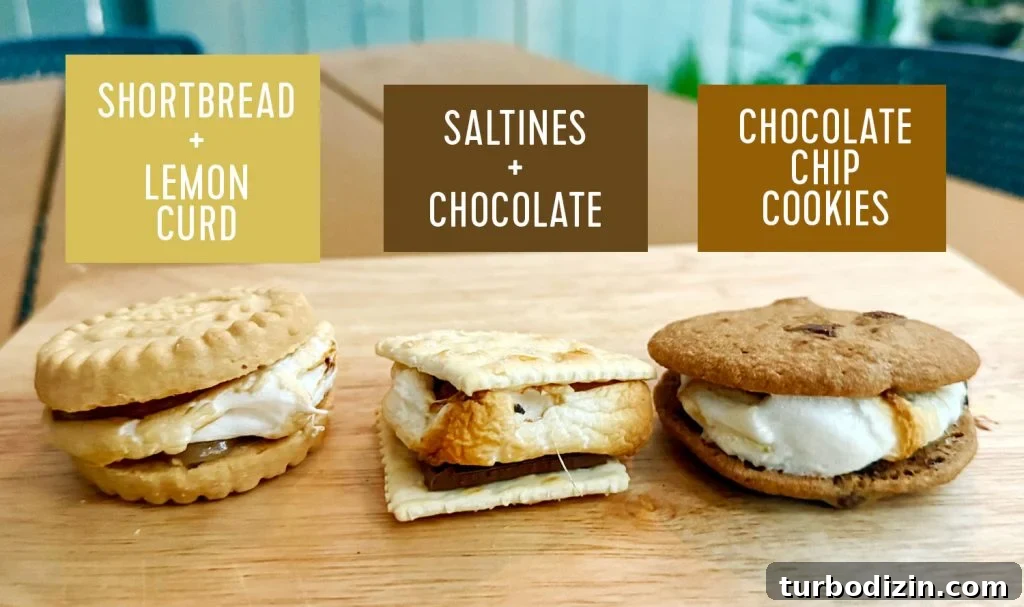 5 Creative S'mores Upgrades — Including Savory S'mores! 12 Upgraded Smores With Saltines Shortbread Cookies and Chocolate Chip Cookies