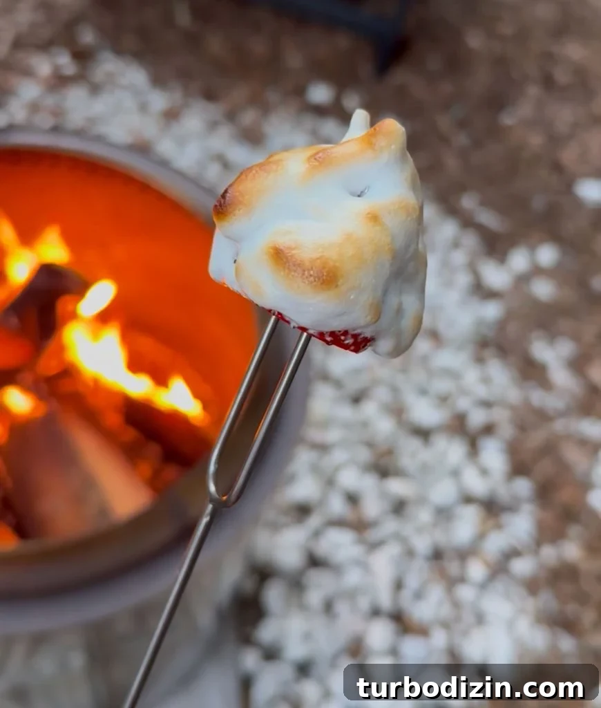 5 Creative S'mores Upgrades — Including Savory S'mores! 16 Toasted Marshmallow Fluff With Whole Strawberry Over Firepit