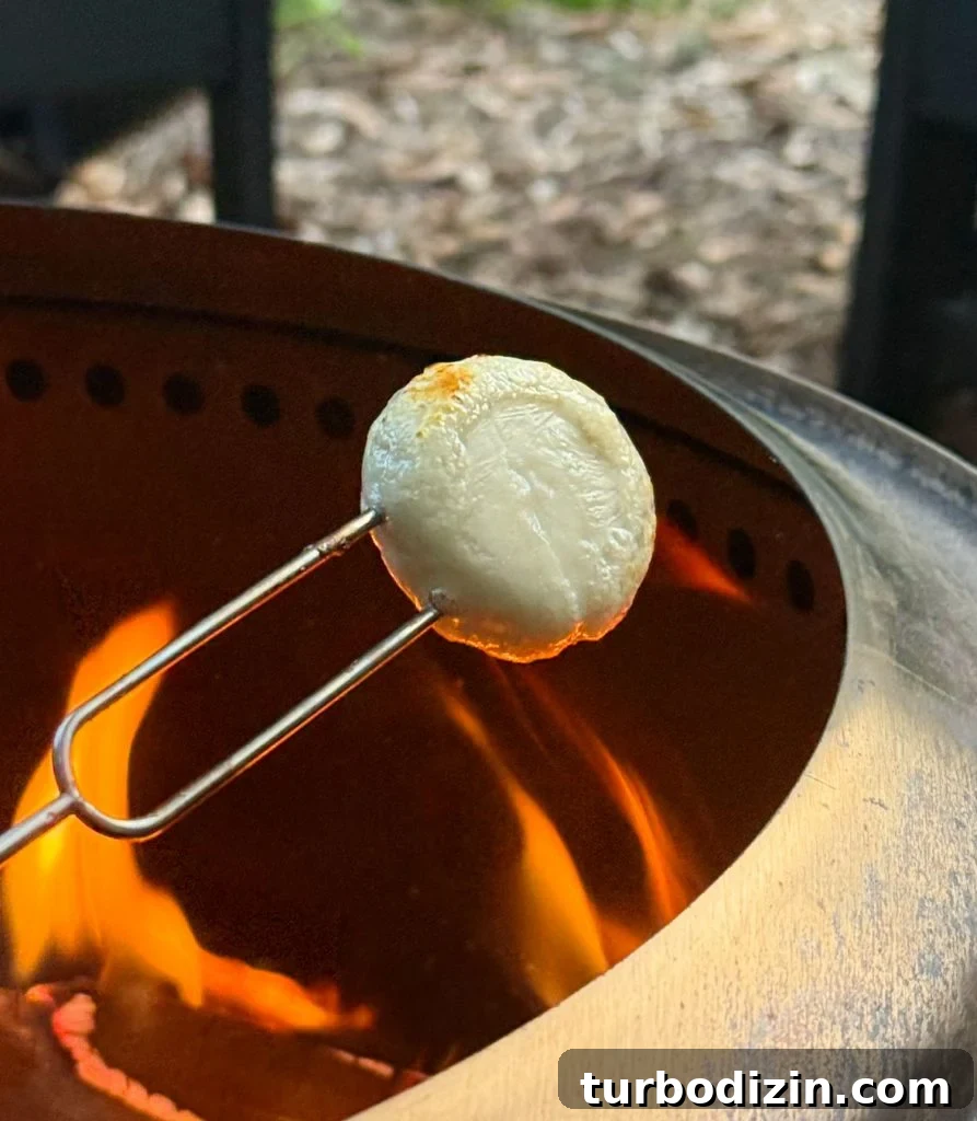 5 Creative S'mores Upgrades — Including Savory S'mores! 7 Roasting Babybell Cheese Over Firepit Flame for Savory Smores