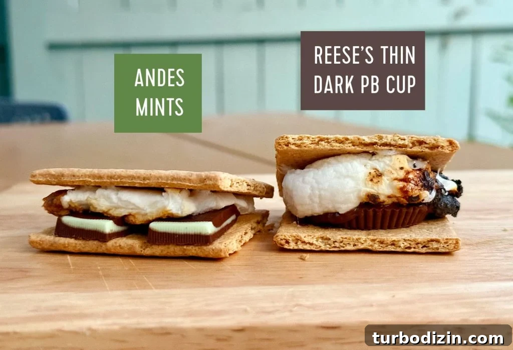 5 Creative S'mores Upgrades — Including Savory S'mores! 10 Upgraded Smores With Andes Mints and Reeses Thin Dark Peanut Butter Cup