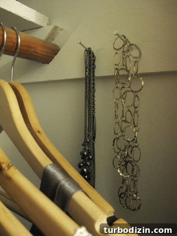 Inside Our Closet: A Step-by-Step Organization Tour 12 img_2508