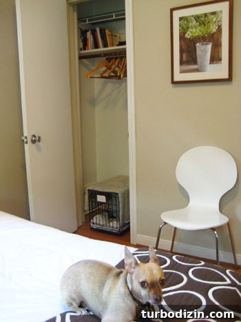 Inside Our Closet: A Step-by-Step Organization Tour 14 burgers-hiddden-closet-dog-crate