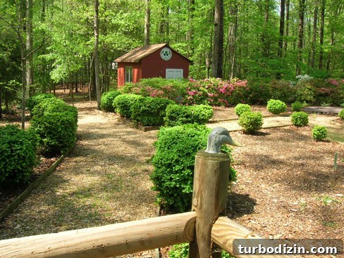 House Hunting: How We Found Our Perfect Home in One Month 7 housebeforebackyardduck