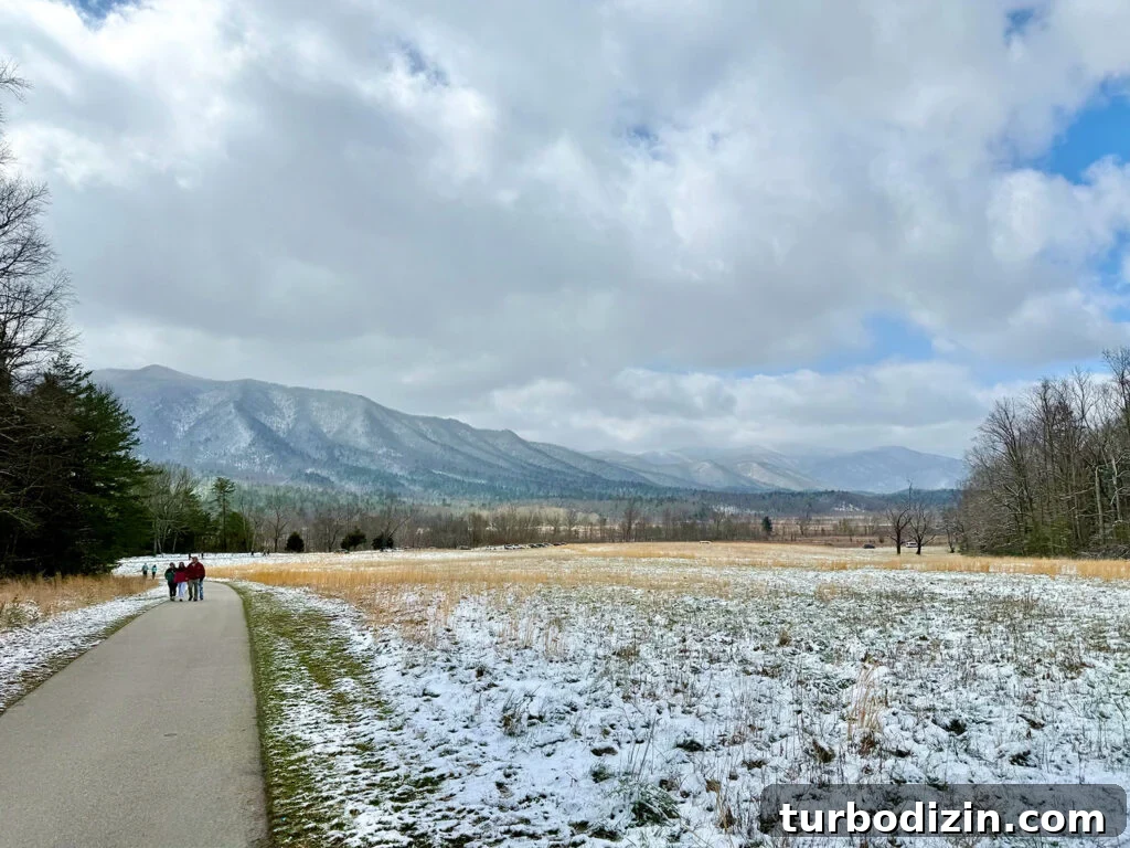 View of Great Smoky Mountain National Park from Cades Cove Valley