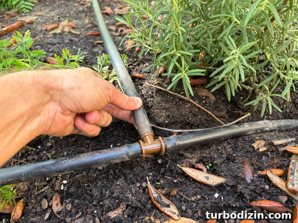 Step-by-Step Guide to Installing a Drip Irrigation System 14 T Connector In Main Line Tube For Drip Irrigation System