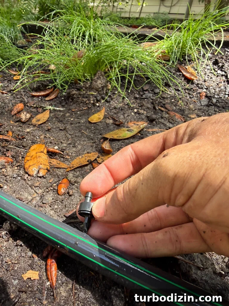 Step-by-Step Guide to Installing a Drip Irrigation System 16 Poking Dripper Emitter Into Drip Irrigation System Tube