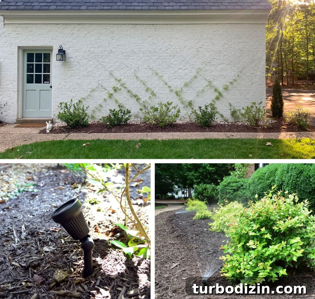 Step-by-Step Guide to Installing a Drip Irrigation System 18 Collage of Outdoor Projects Vine Trellis Landscape Lighting Irirgation