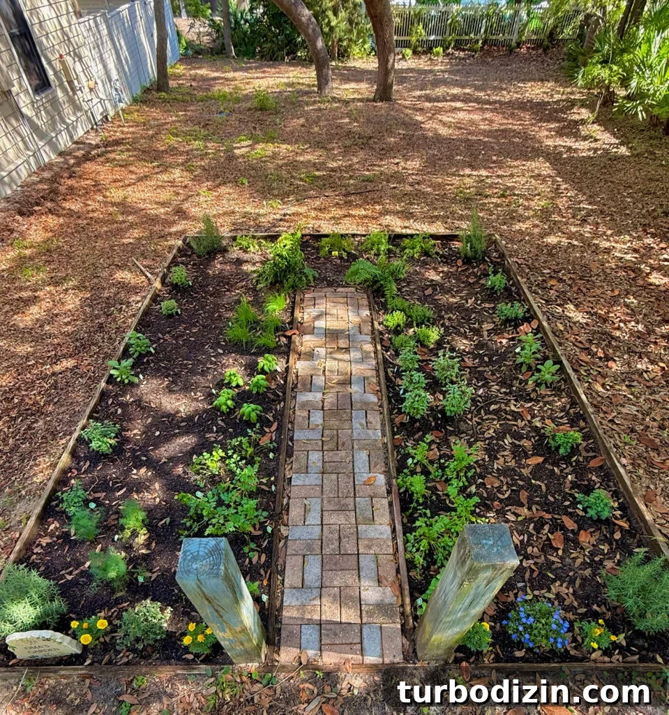 Step-by-Step Guide to Installing a Drip Irrigation System 10 Garden Before Drip Irrigation Is Installed