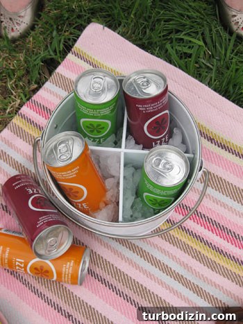 Charming Picnic Ideas: Centerpieces, Cheese Labels & Setup Tips 5 img_7779