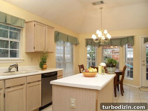 Budget-Friendly Kitchen Makeover Using Paint Techniques 2 2015172_3