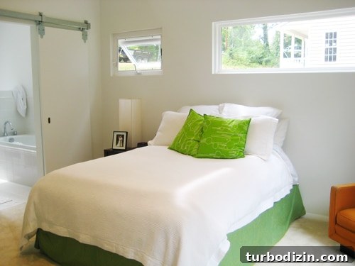 emsmaster1 Master bedroom with barn door