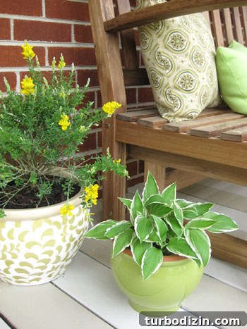 When an Era Truly Ends: Navigating Change and What Comes Next 6 green-yellow-tan-brown-front-porch-makeover-planters-before-and-after