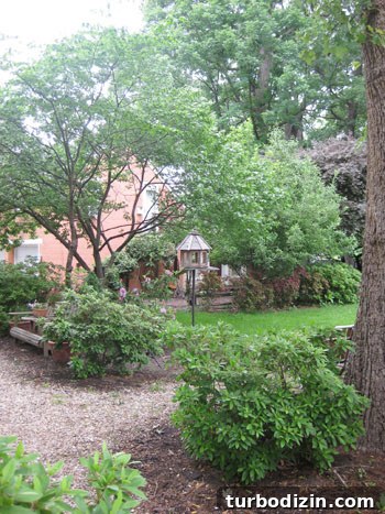 Fully Renovated Richmond Home with Modern Upgrades 12 img_2229