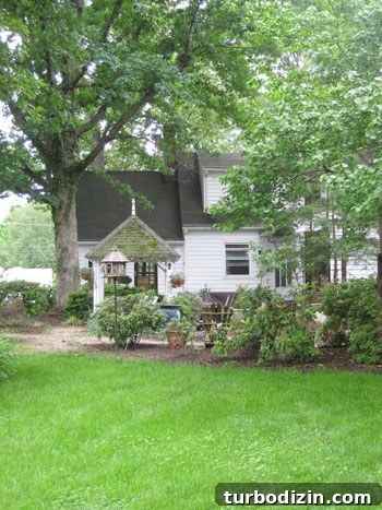 Fully Renovated Richmond Home with Modern Upgrades 13 img_2213