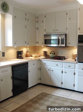 Fully Renovated Richmond Home with Modern Upgrades 10 img_2128