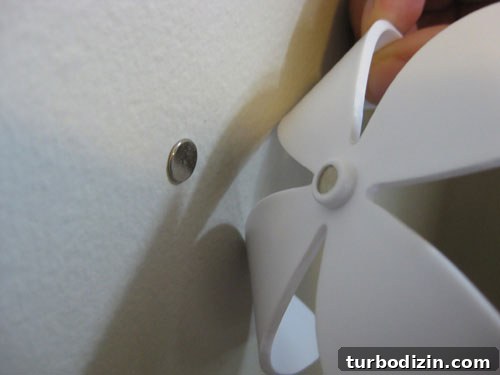 magnetic-wallflowers-for-your-wall