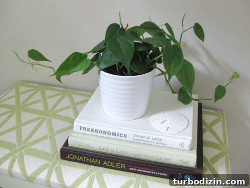 Grow New Plants from Cuttings: A Simple Guide to Propagation 4 spider-plant-cuttings
