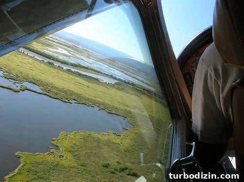 Alaska Honeymoon Adventure: Glacier Tours, Wildlife & Romance 11 Alaska-Honeymoon-Pic-11