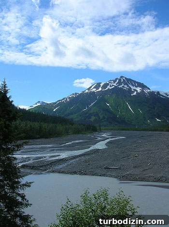 Alaska Honeymoon Adventure: Glacier Tours, Wildlife & Romance 6 Alaska-Honeymoon-Pic-5