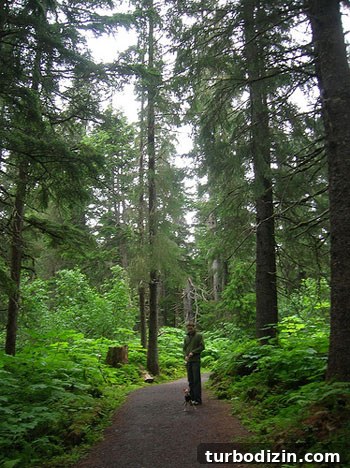 Alaska Honeymoon Adventure: Glacier Tours, Wildlife & Romance 7 Alaska-Honeymoon-Pic-6