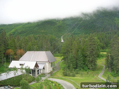 Alaska Honeymoon Adventure: Glacier Tours, Wildlife & Romance 8 Alaska-Honeymoon-Pic-7