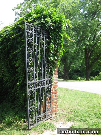 Wedding Week II: The Day We Nearly Tied the Knot 9 iron-gate-stonypoint