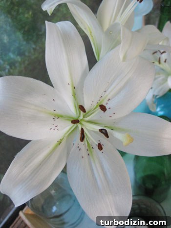 DIY Lily Bouquet: Step-by-Step Guide to Create Your Own Arrangement 3 IMG_4075