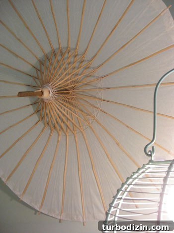 parasol-hanging-art