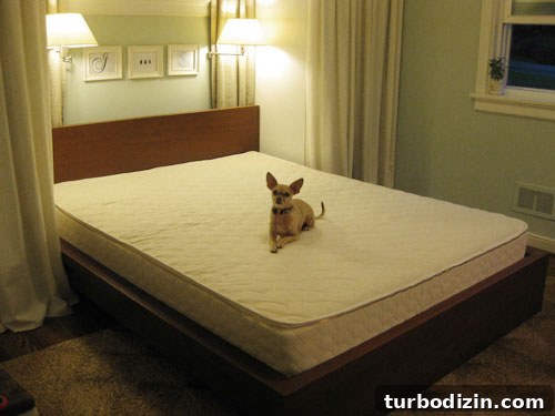 Natural Latex Mattress Review: Comfort, Durability & Buyer Guide 2 IMG_4560.JPG