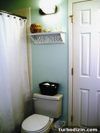 Teal Bathroom Remodel: Fresh Paint Ideas and Styling Tips 3 Bathroom after