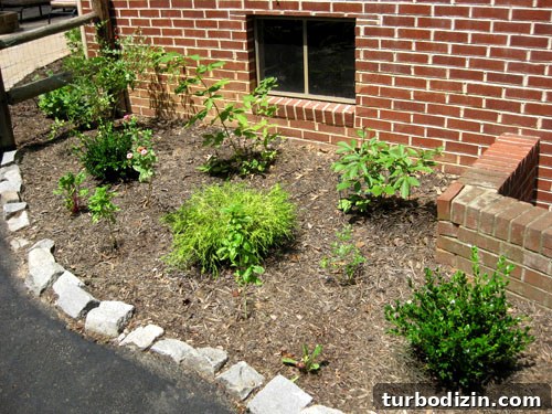 Edible Garden Update: What’s Growing This Season and Tips 2 Edible garden overview