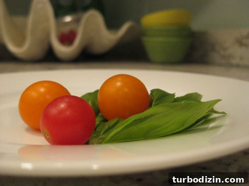 Edible Garden Update: What’s Growing This Season and Tips 8 Simple basil salad