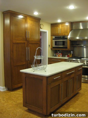 Modern Eco-Friendly Home for Sale in Richmond, VA 9 Pantry and island storage