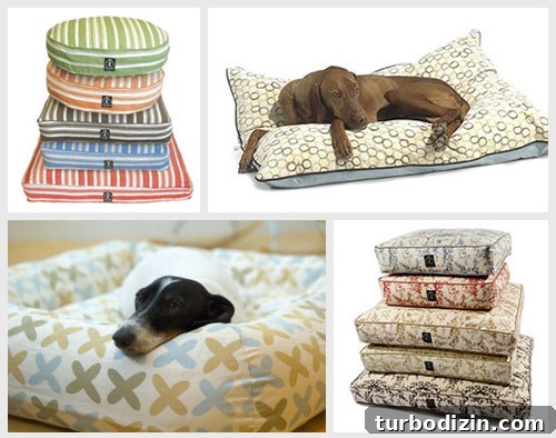 Free Dog Sleep Aids: Gentle Tips to Help Your Pup Rest Through the Night 3 Assorted pet beds from AllModernPet