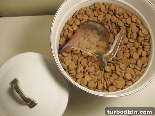 How to Prepare Your Home for an Emergency 5 Pet food