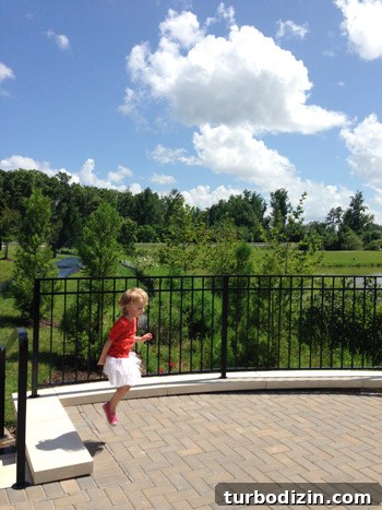 Celebrating the Fourth: Fun Ideas and Festive Activities 2 img 1736 1