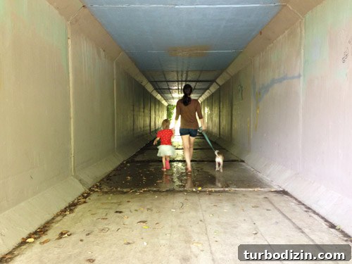 Celebrating the Fourth: Fun Ideas and Festive Activities 3 img 1736 2