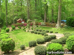 How to Plant and Grow Grass in Your Backyard This Season 2 Backyard before