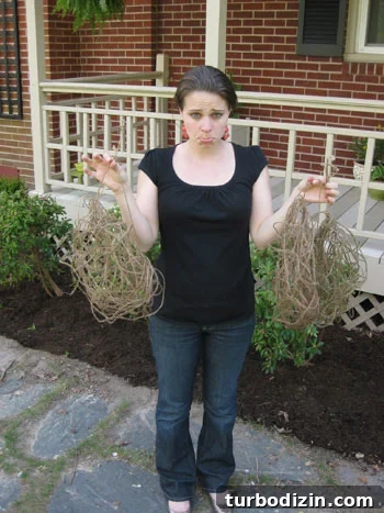 failed-project-boo failed-project-boo