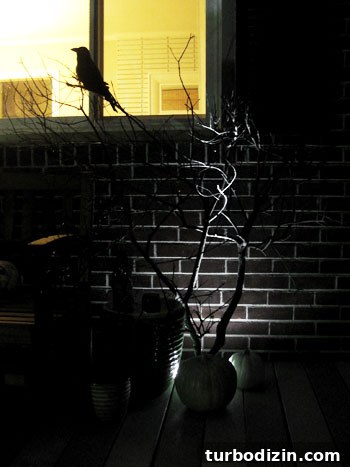 Halloween Porch Decorating Ideas to Wow Your Neighbors 4 img 18246 3