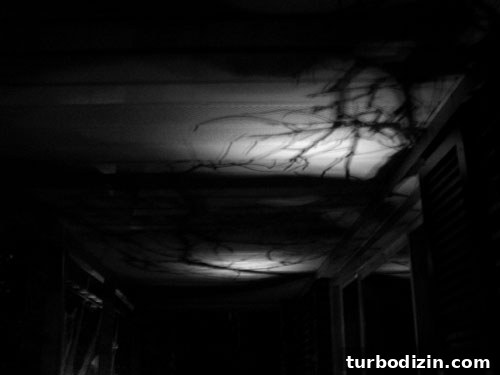 Halloween Porch Decorating Ideas to Wow Your Neighbors 5 img 18246 4
