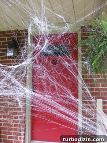 Halloween Porch Decorating Ideas to Wow Your Neighbors 6 img 18246 5