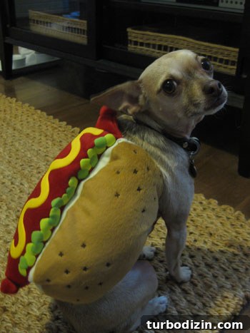 Friday Costume Countdown: Fun Departure Party Ideas 3 burger-hot-dog2