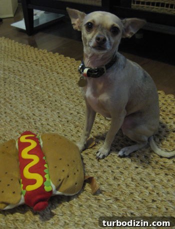 Friday Costume Countdown: Fun Departure Party Ideas 4 burger-hot-dog3