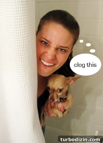 Unclog a Bathtub Drain Fast: Simple Steps for a Clear Drain 3 Sherry holding chihuahua in bathroom with clog this speech bubble