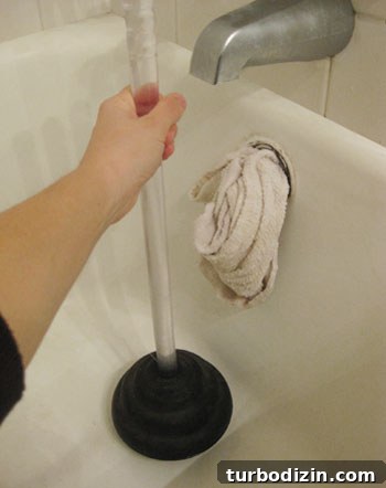 Unclog a Bathtub Drain Fast: Simple Steps for a Clear Drain 5 unclogging bathtub drain with plunger