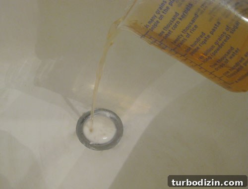 Unclog a Bathtub Drain Fast: Simple Steps for a Clear Drain 6 pouring vinegar and baking soda in clogged bathroom drain