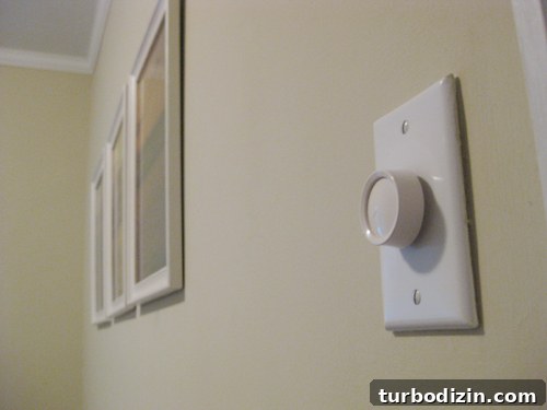 Install a Dimmer Switch: Step-by-Step Guide for Any Room 2 img 19281 1
